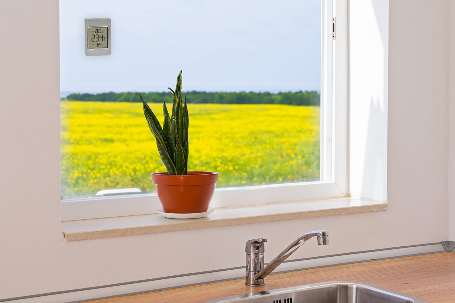 Digitales Fensterthermometer "Windoo"